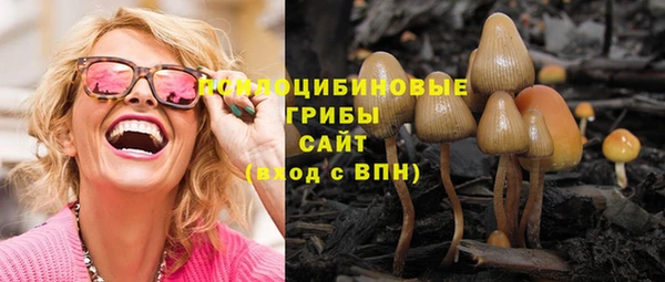 мет Алзамай