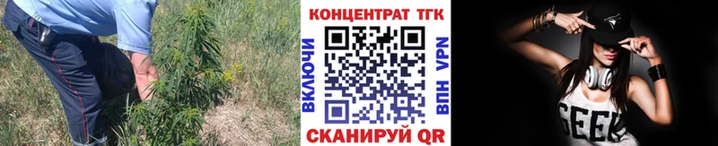 ТГК жижа  Бабушкин 